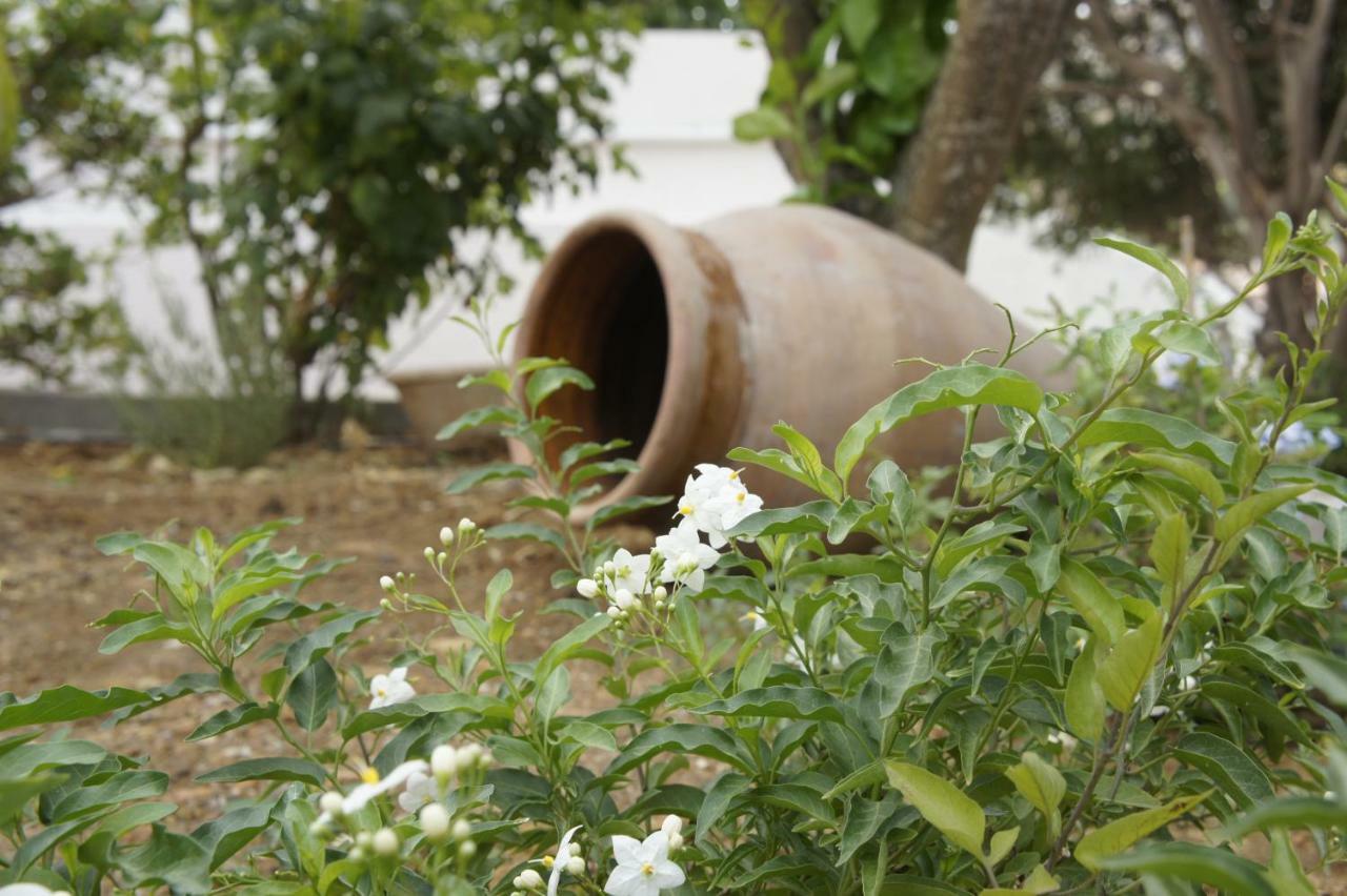 My Sicily Home - Casa Con Giardino Salemi Exterior photo
